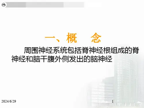 神经病学周围神经病变