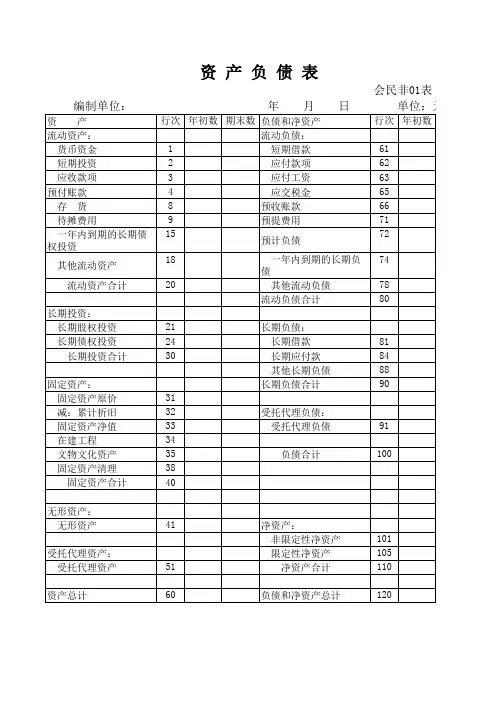 民间非盈利组织财务报表(资产负债表)表格版