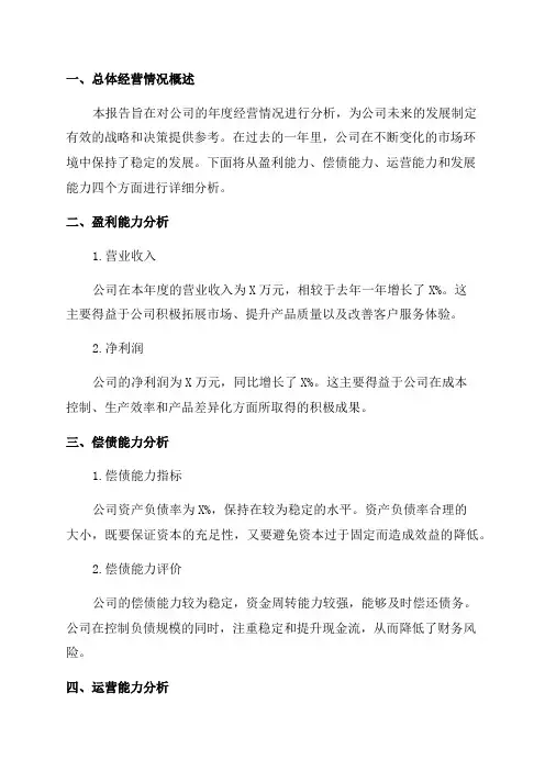 公司年度经营分析报告
