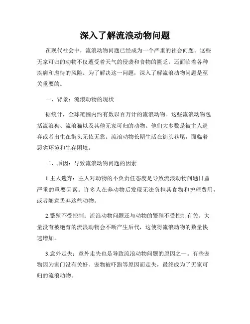 深入了解流浪动物问题