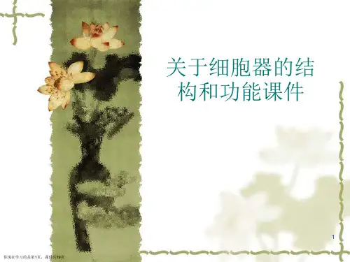 细胞器的结构和功能课件课件
