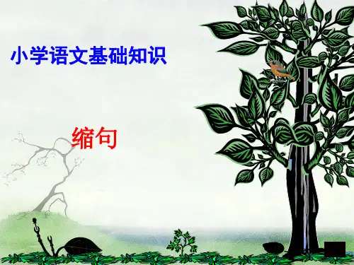 小学缩句PPT演示课件