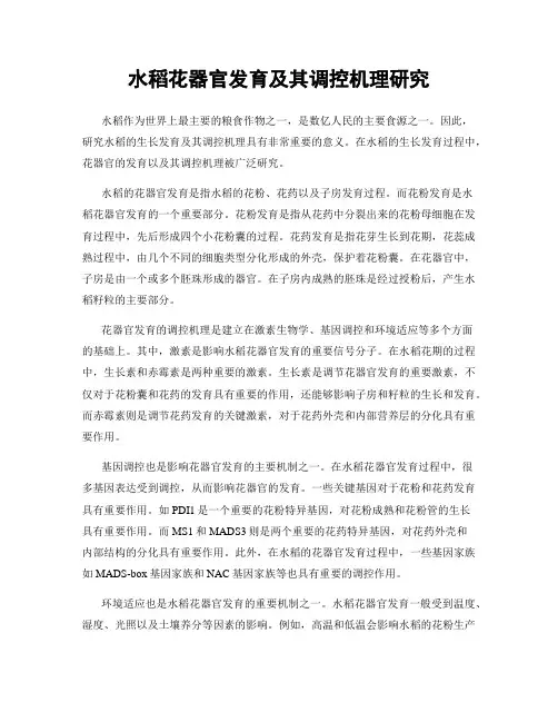 水稻花器官发育及其调控机理研究