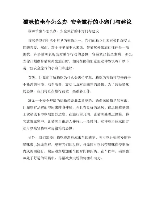 猫咪怕坐车怎么办  安全旅行的小窍门与建议