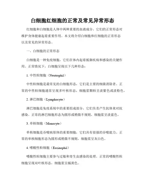 白细胞红细胞的正常及常见异常形态