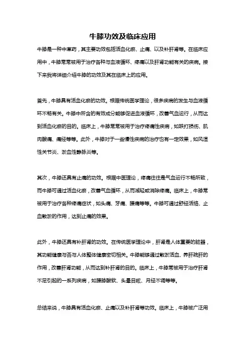 牛膝功效及临床应用