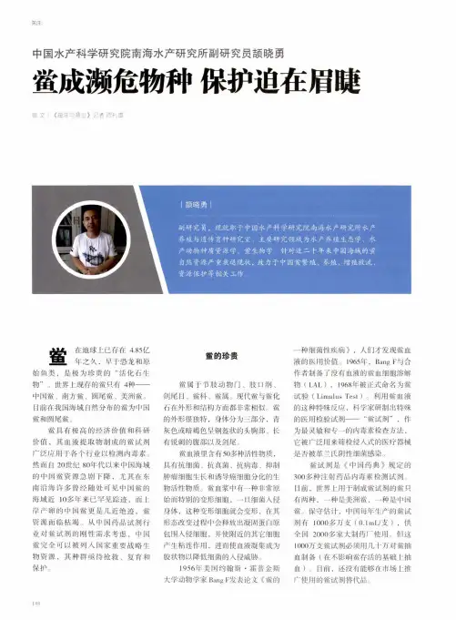 鲎成濒危物种保护迫在眉睫