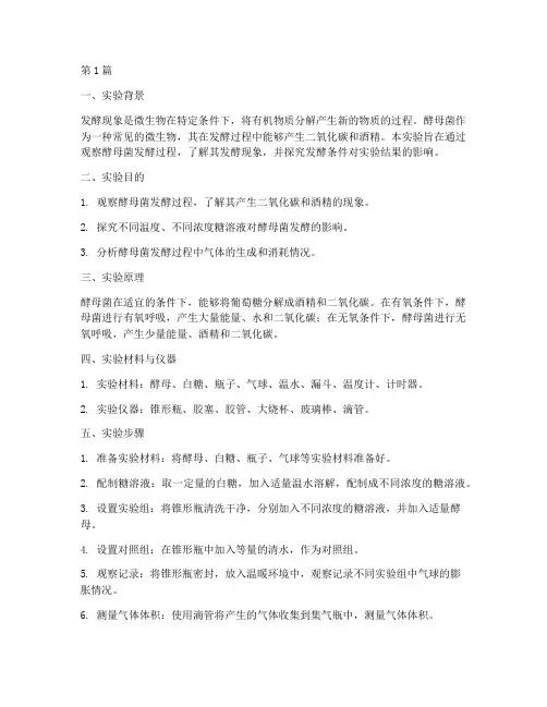 气球酵母发酵实验报告(3篇)