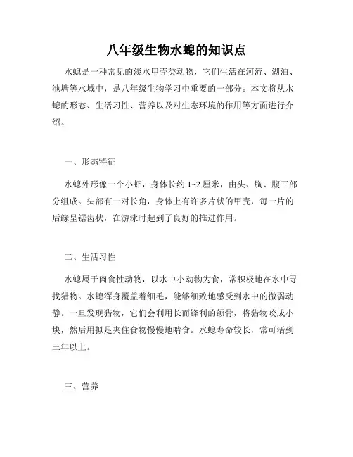 八年级生物水螅的知识点