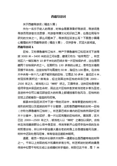 关于西藏导游词（精选5篇）