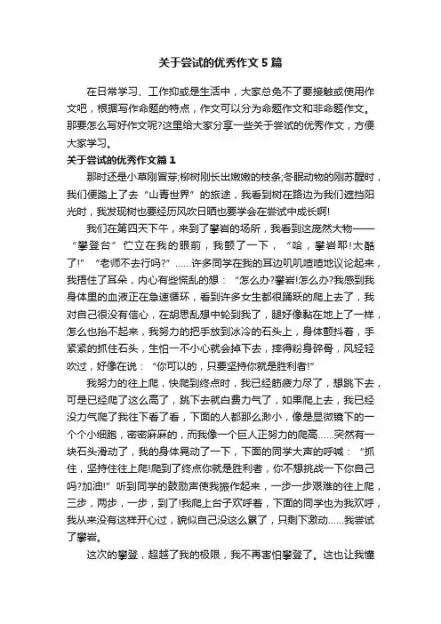 关于尝试的优秀作文5篇
