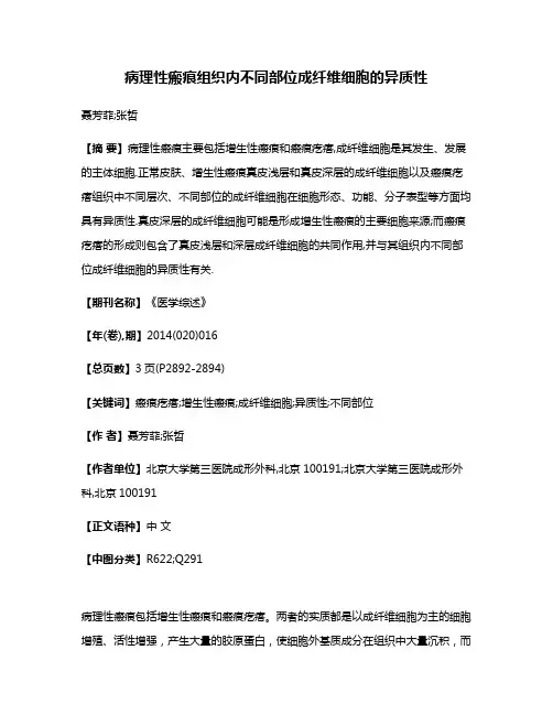 病理性瘢痕组织内不同部位成纤维细胞的异质性