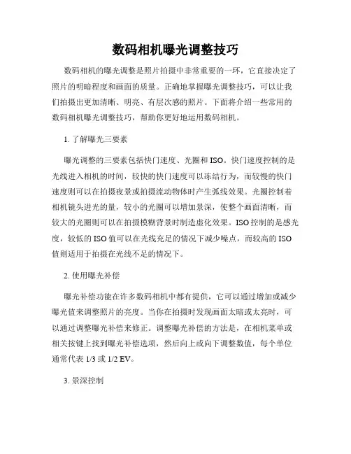 数码相机曝光调整技巧