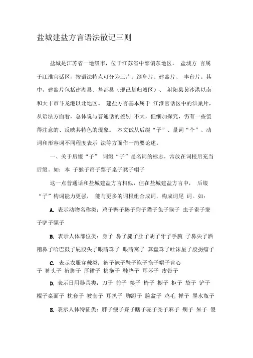 盐城建盐方言语法散记三则