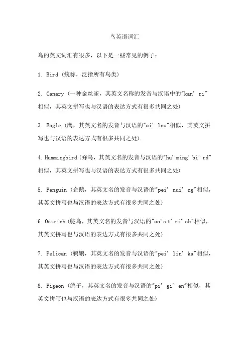鸟英语词汇