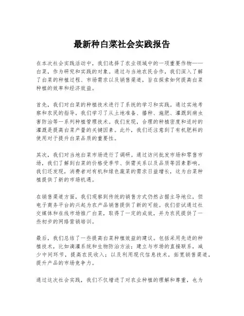 最新种白菜社会实践报告