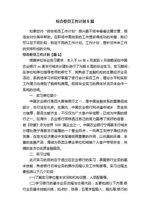 综合柜员工作计划5篇