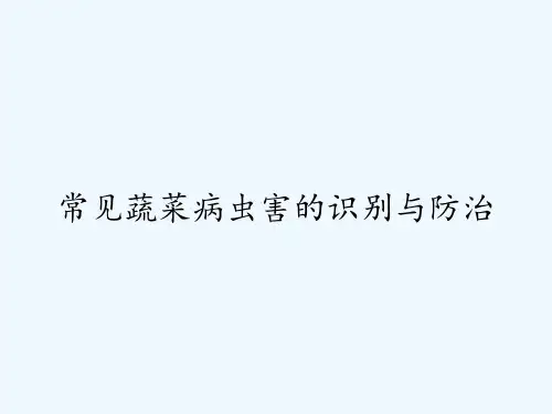 常见蔬菜病虫害的识别与防治-PPT