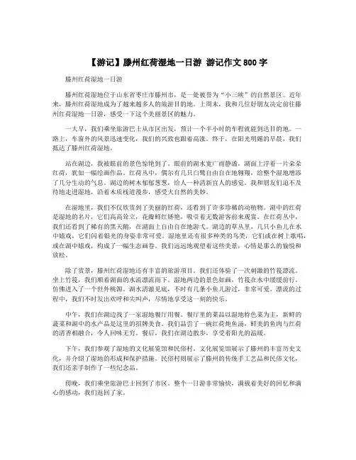 【游记】滕州红荷湿地一日游 游记作文800字