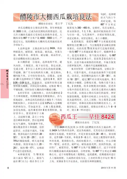 西瓜王——早佳8424