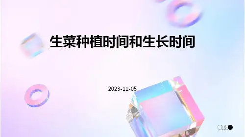 生菜种植时间和生长时间