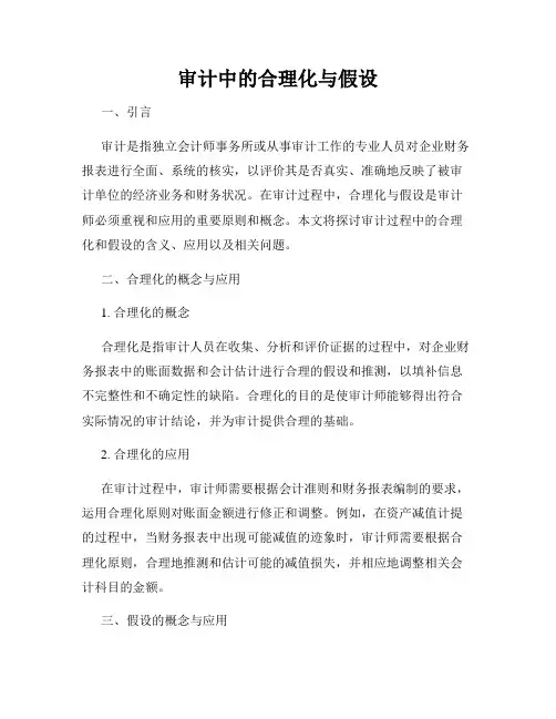 审计中的合理化与假设