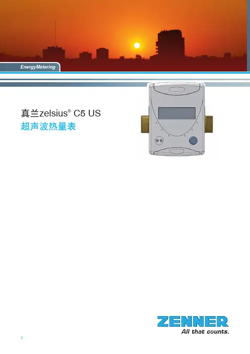 真兰能量表说明书