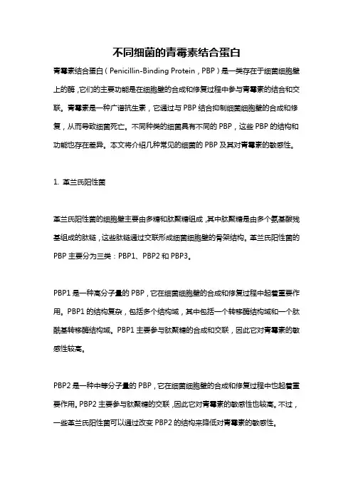 不同细菌的青霉素结合蛋白