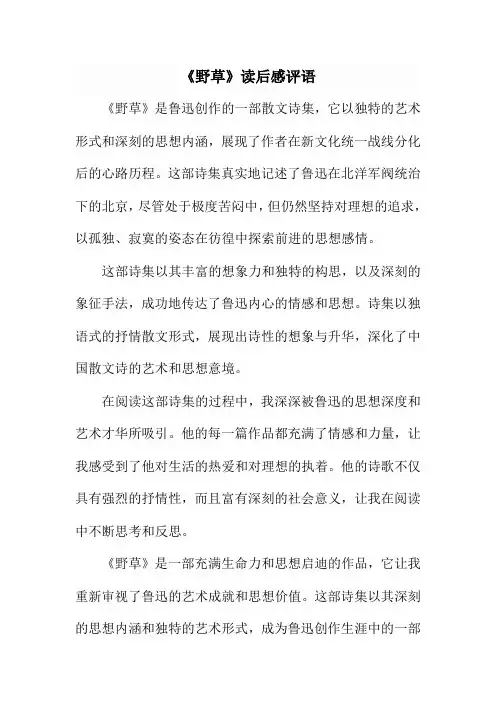 《野草》读后感评语