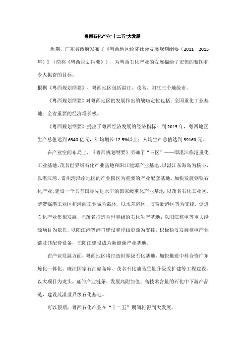 粤西石化产业“十二五”大发展