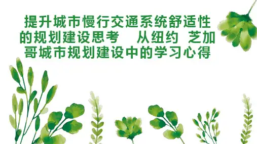 提升城市慢行交通系统舒适性的规划建设思考  从纽约 芝加哥城市规划建设中的学习心得