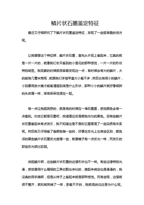 鳞片状石墨鉴定特征