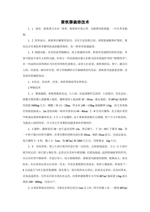 黄秋葵栽培技术