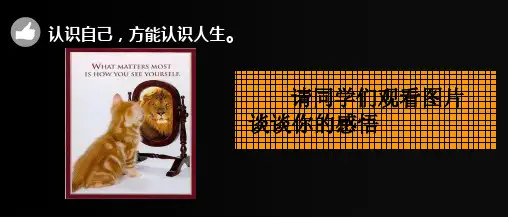 认识自我,塑造自我课件-高中心理健康