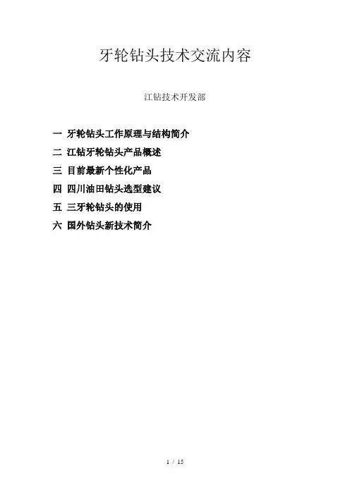 牙轮钻头技术交流
