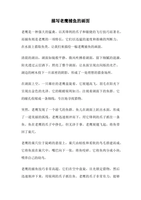 描写老鹰捕鱼的画面