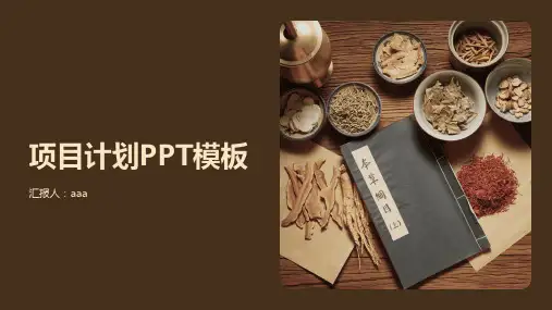 褐色简约风项目计划PPT模板