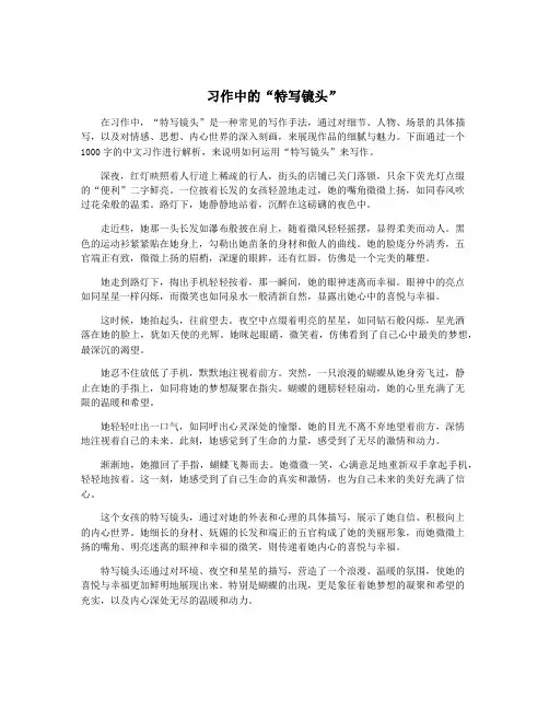 习作中的“特写镜头”