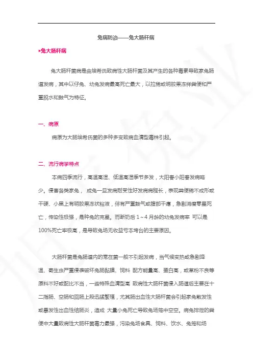 兔病防治——兔大肠杆病