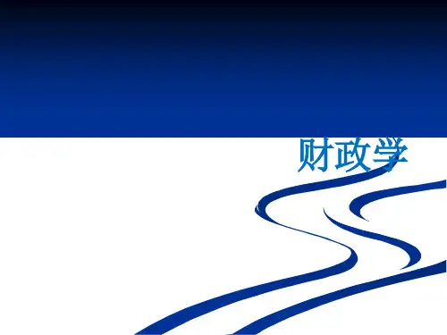 20第十章  政府非税收入