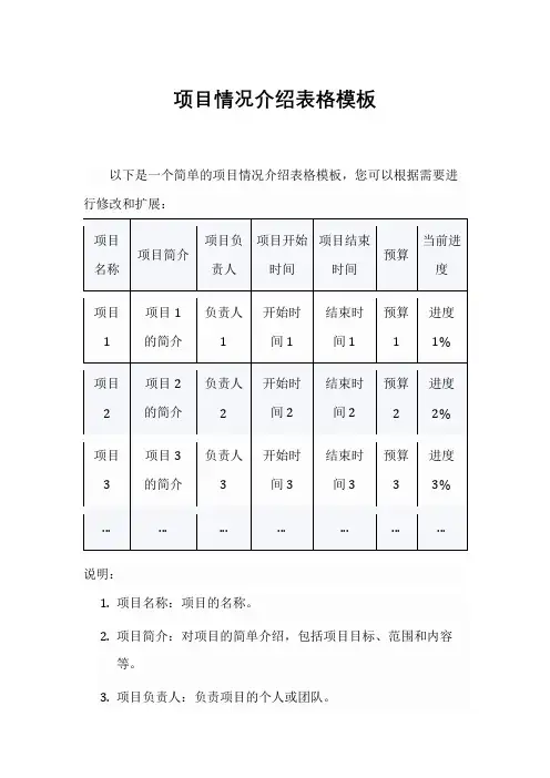 项目情况介绍表格模板