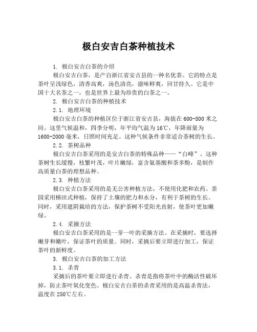 极白安吉白茶种植技术