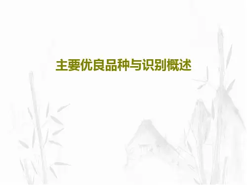主要优良品种与识别概述共25页文档