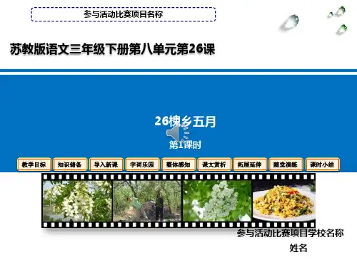 槐乡五月(苏教版语文三年级下册第八单元第26课)