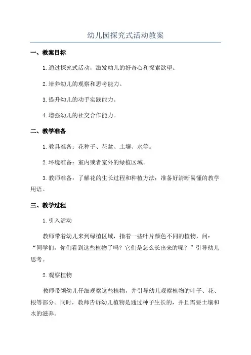 幼儿园探究式活动教案