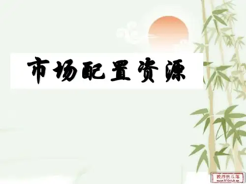 人教版高中政治必修一9.1市场配置资源1