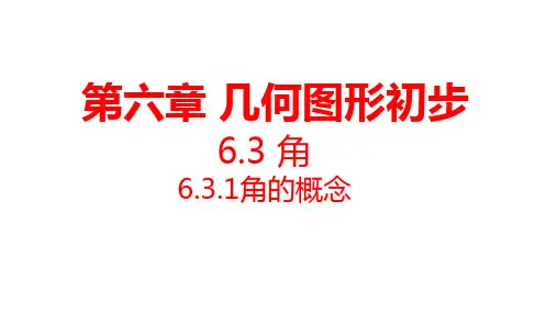 6.3.1 角的概念 课件-人教版数学七年级上册