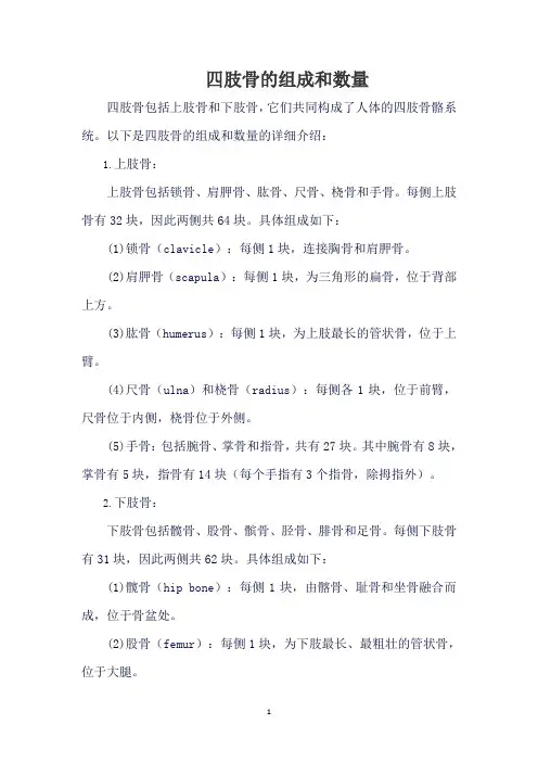 四肢骨的组成和数量