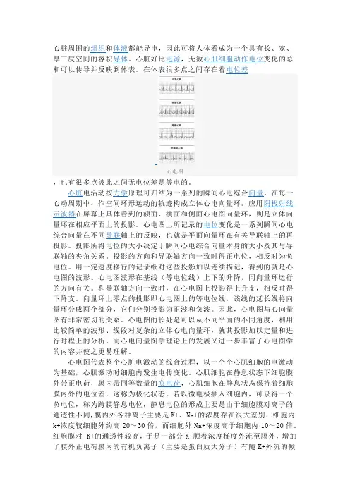 心电图原理