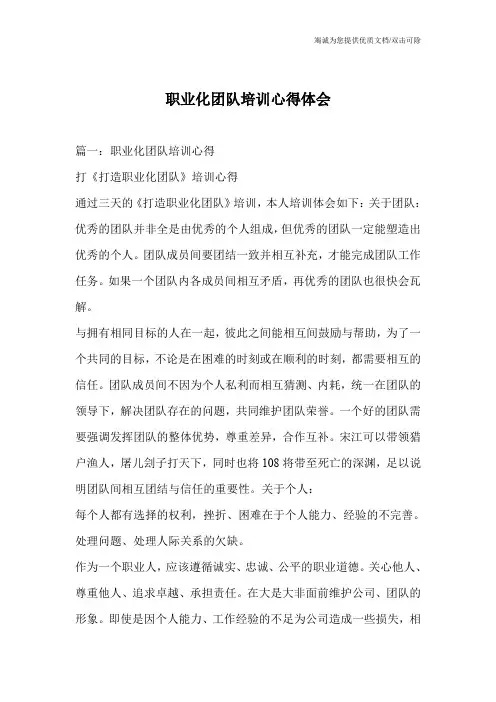 职业化团队培训心得体会
